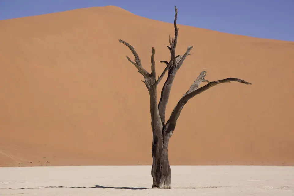deadvlei1.jpeg