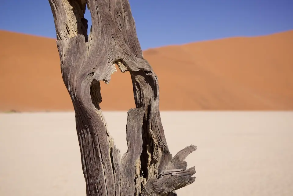 deadvlei2.jpeg
