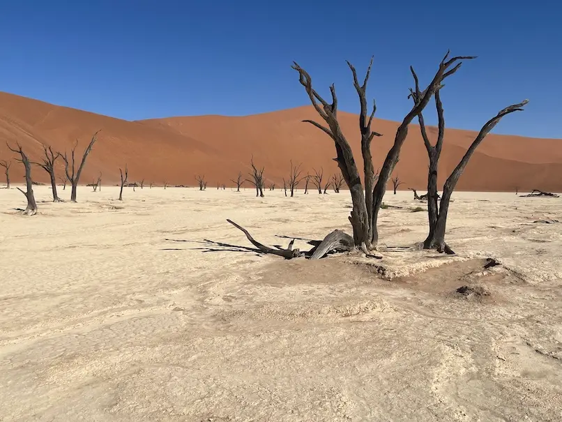 deadvlei4.jpeg