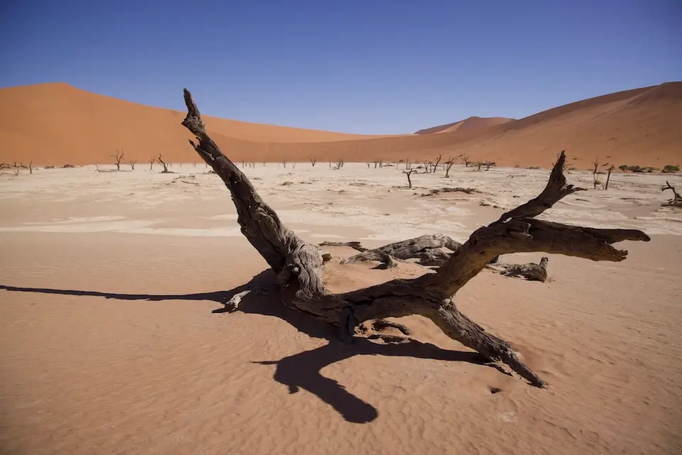 deadvlei5.jpeg