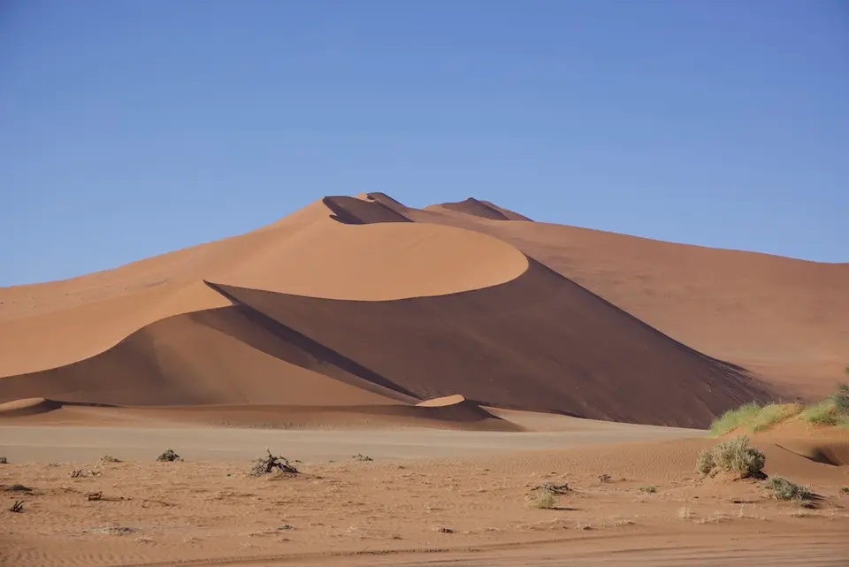 dunes1.jpeg