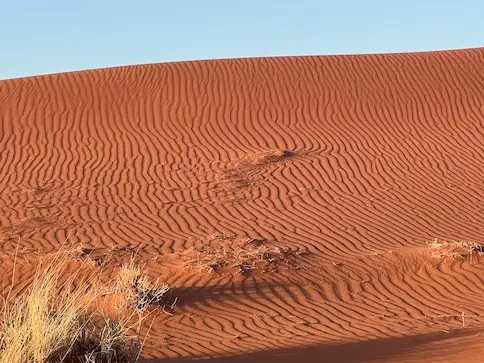 elimdune3.jpeg