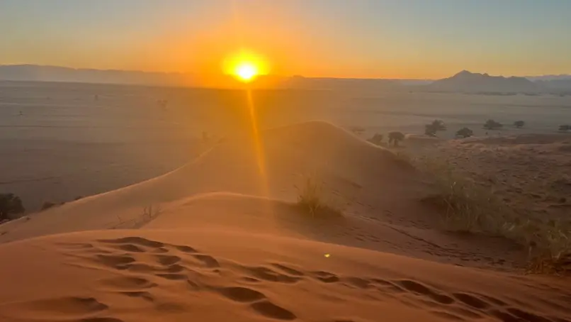 elimdune4.jpeg