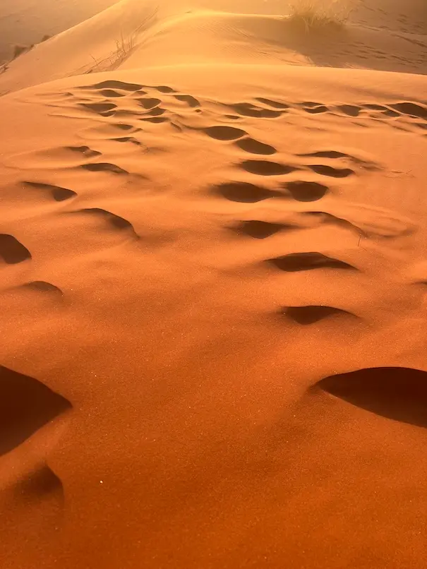 elimdune5.jpeg