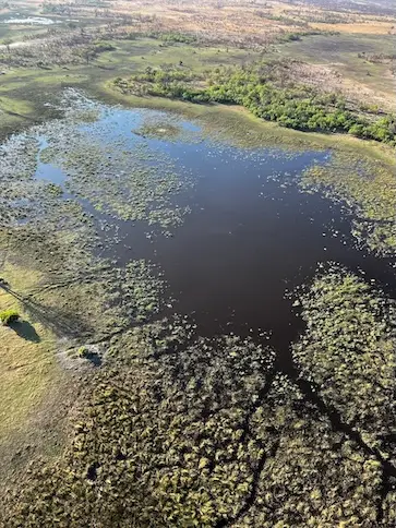 okavango_3.jpeg
