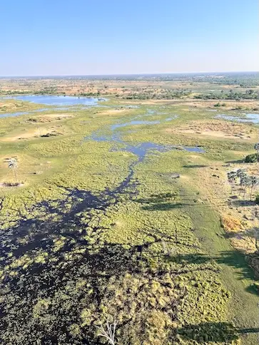 okavango_4.jpeg
