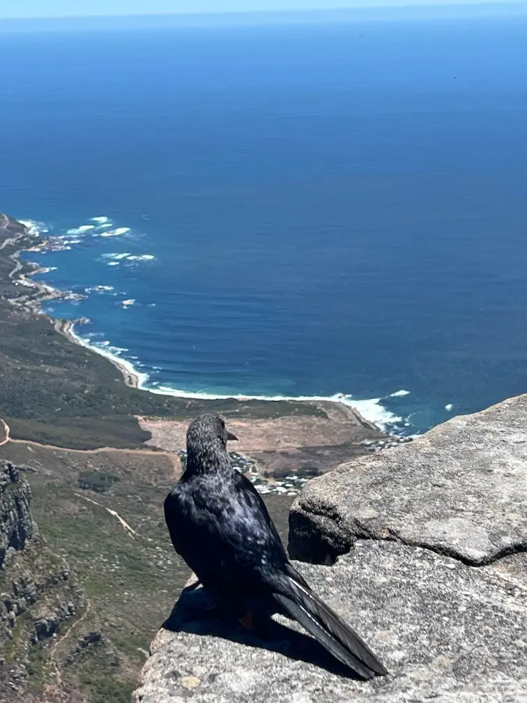 tafelberg4.jpeg