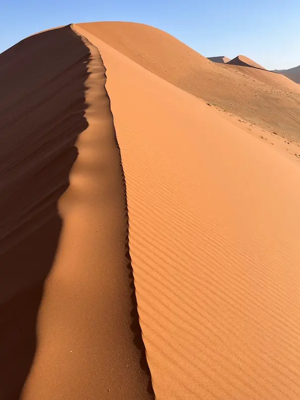 up_the_dunes.jpeg