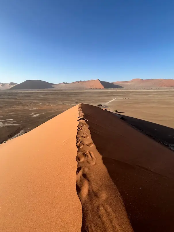 up_the_dunes2.jpeg