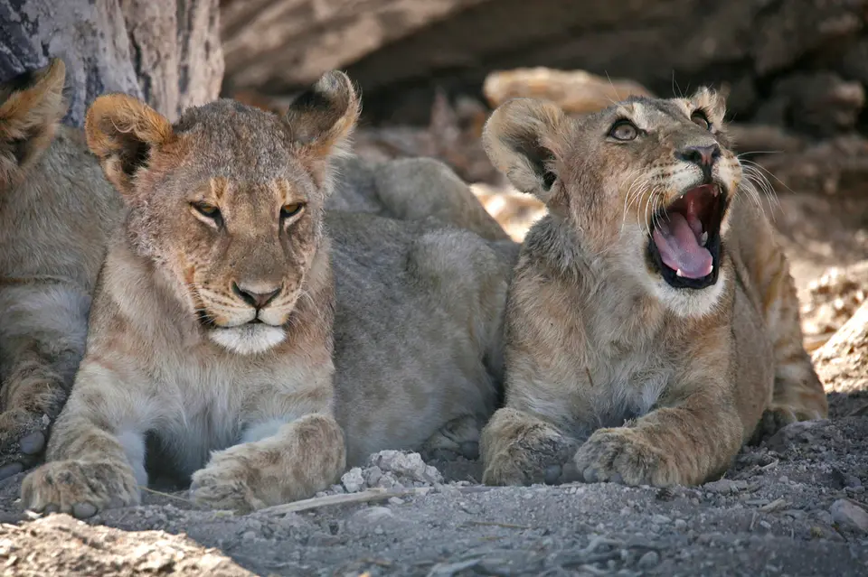 11_Namibia_10_20150583_1.jpg