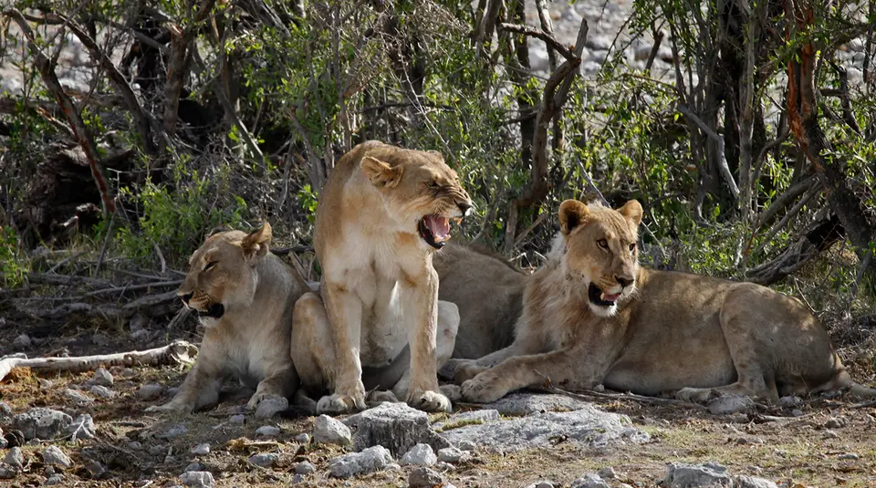 12_Namibia_10_20150549.jpg