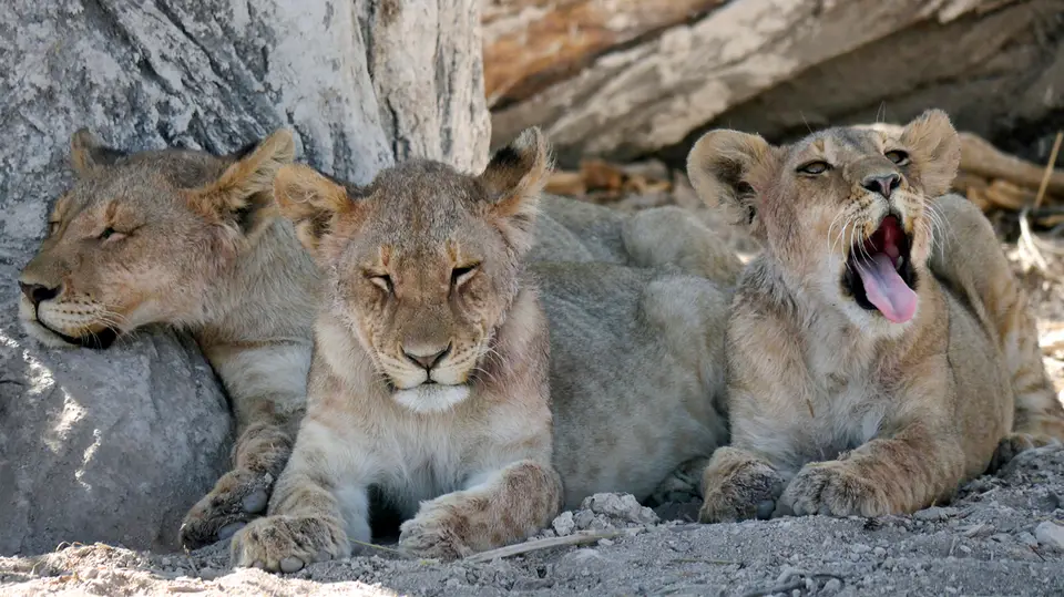 13_Namibia_10_20150247.jpg