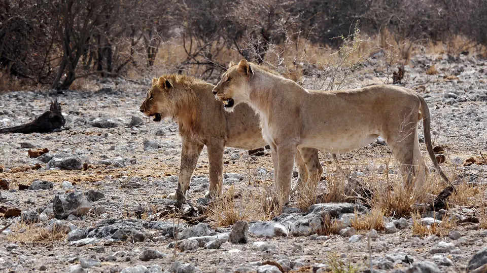 14_Namibia_10_20150208.jpg