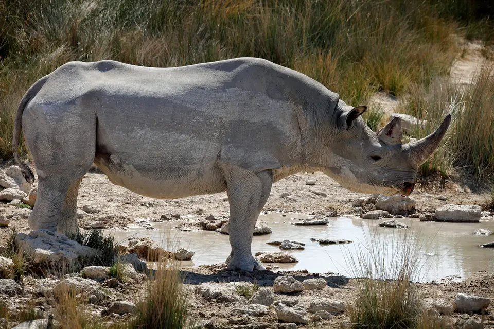 14_Namibia_10_20150578.jpg