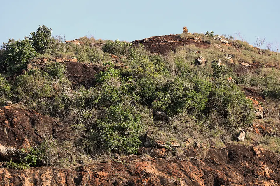 15_ENI7145_1.jpg