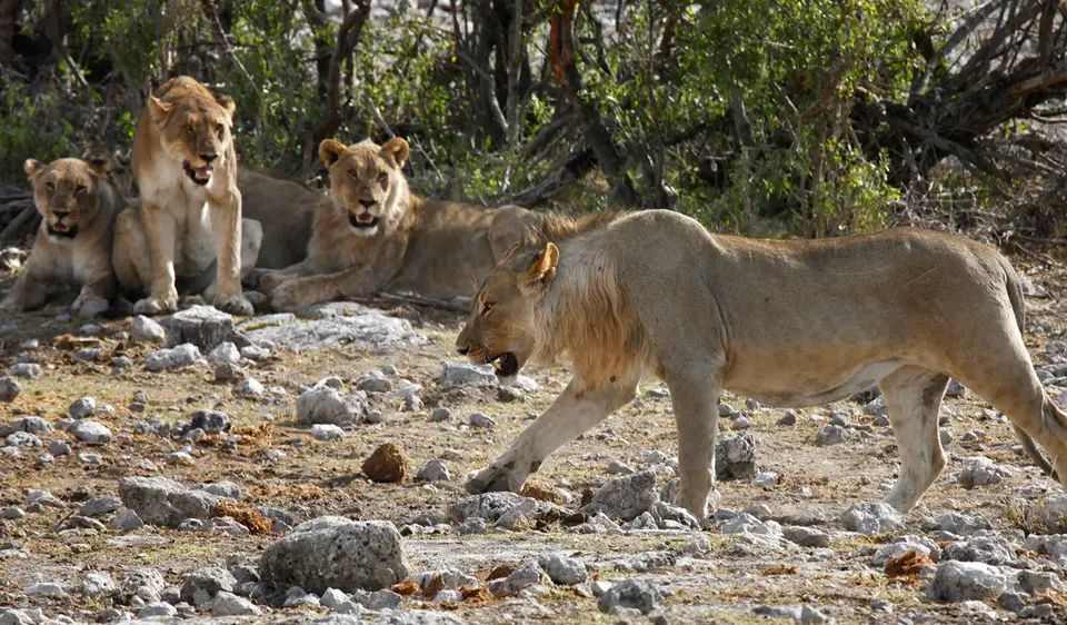 15_Namibia_10_20150550.jpg