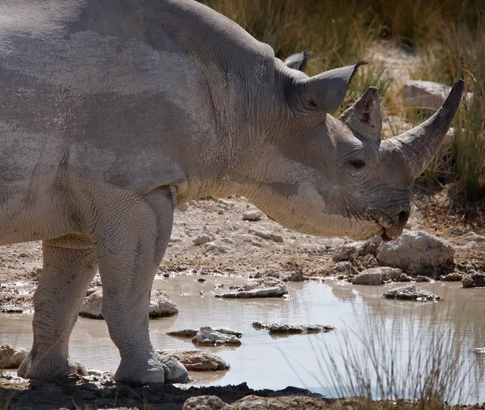16_Namibia_10_20150579.jpg