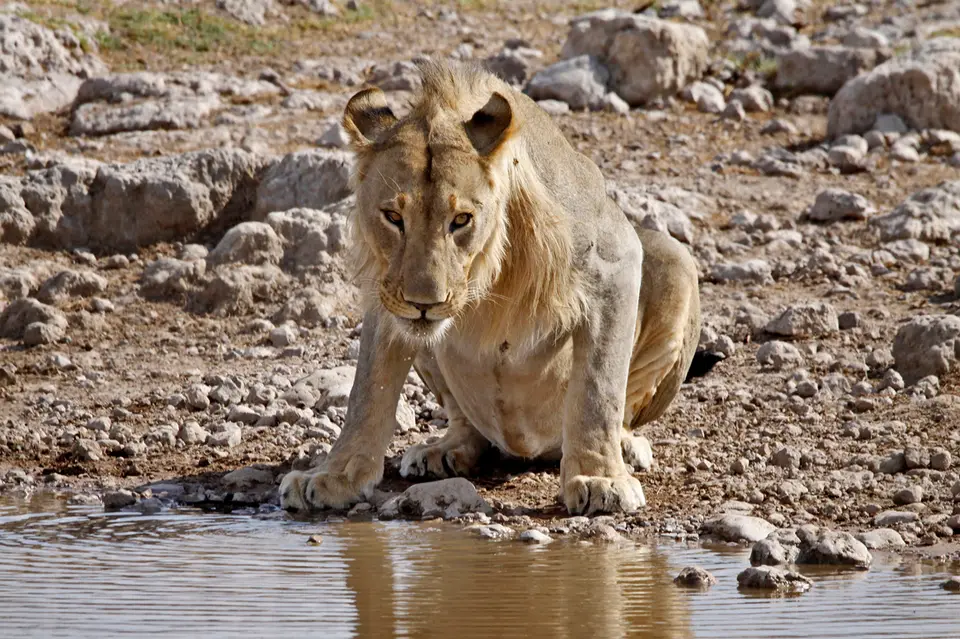 17_Namibia_10_20150834.jpg