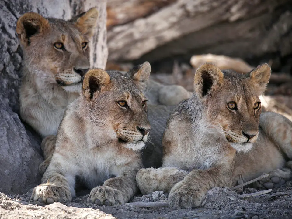 17a_Namibia_10_20150589.jpg