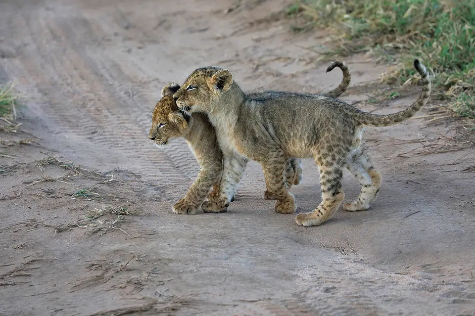 18_ENI7930_17.jpg