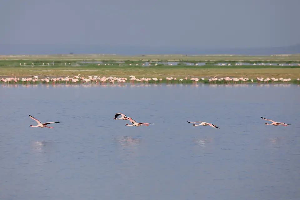 18_ENI9499_7.jpg