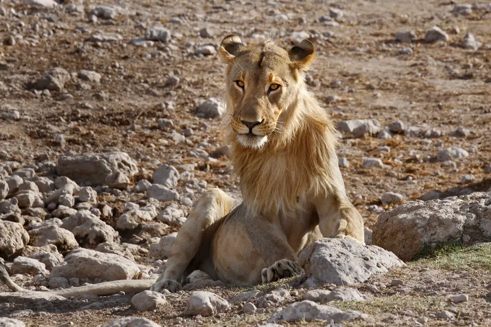 19_Namibia_10_20150843.jpg