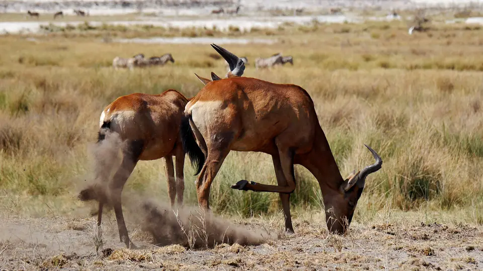 1_Namibia_10_20150235.jpg