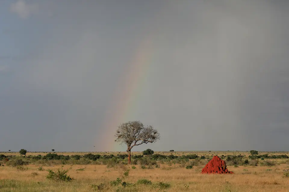 20_ENI0900_7.jpg