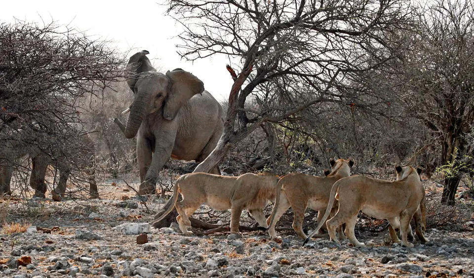 22_Namibia_10_20150555.jpg