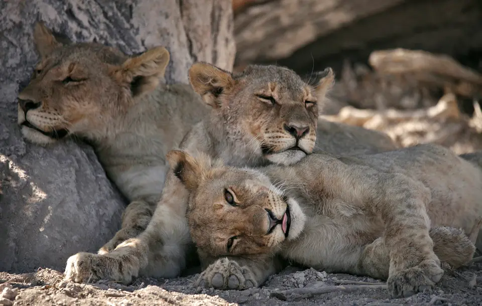 22_Namibia_10_20150590.jpg