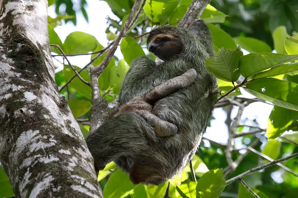 24_MG_0906_11.jpg