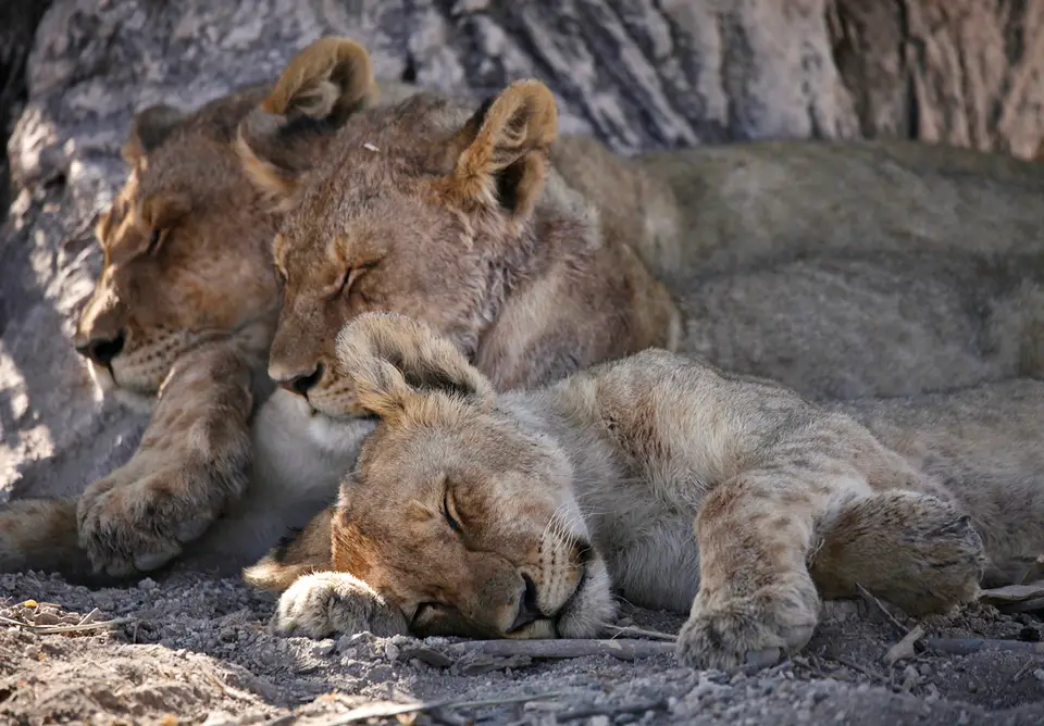 24_Namibia_10_20150591.jpg