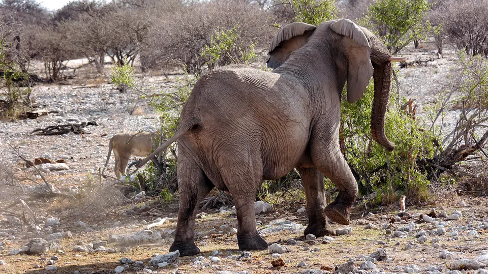 25_Namibia_10_20150215.jpg