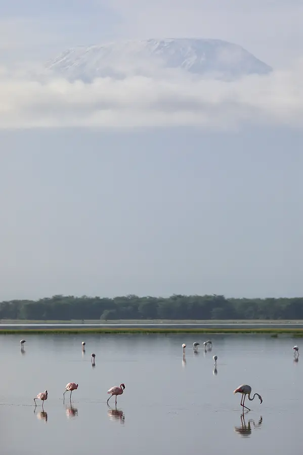 27_ENI9390_14.jpg