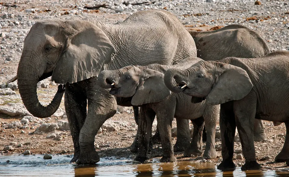 27_Namibia_10_20150557.jpg