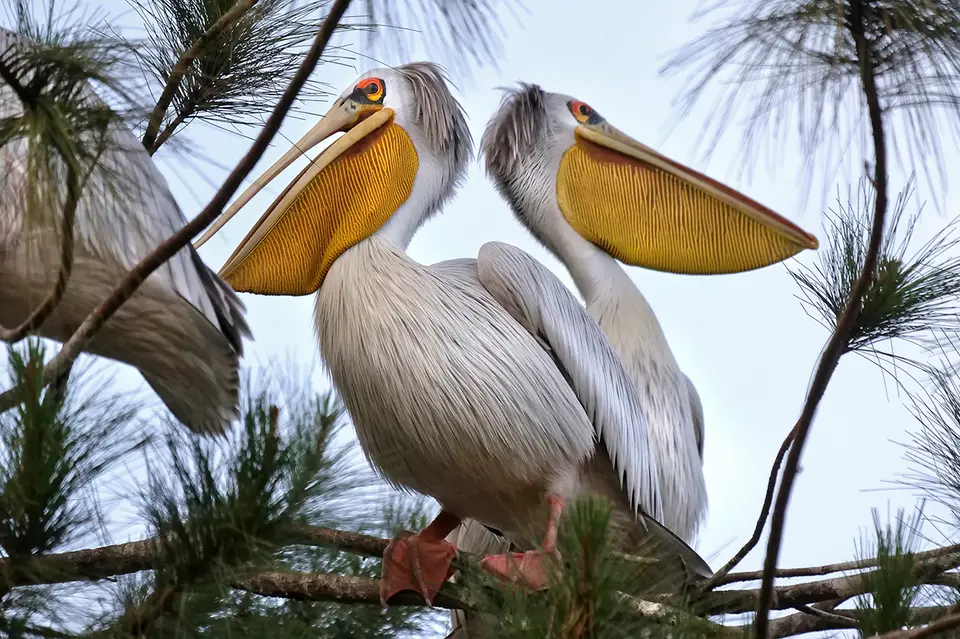 27_P1677334_74.jpg