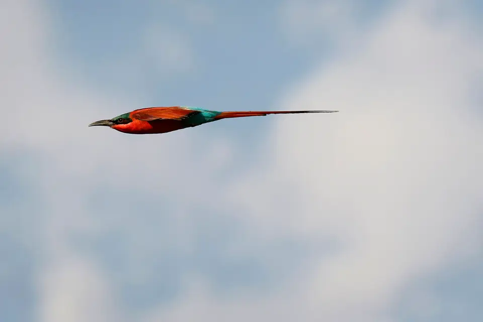 2_FR_5941.JPG