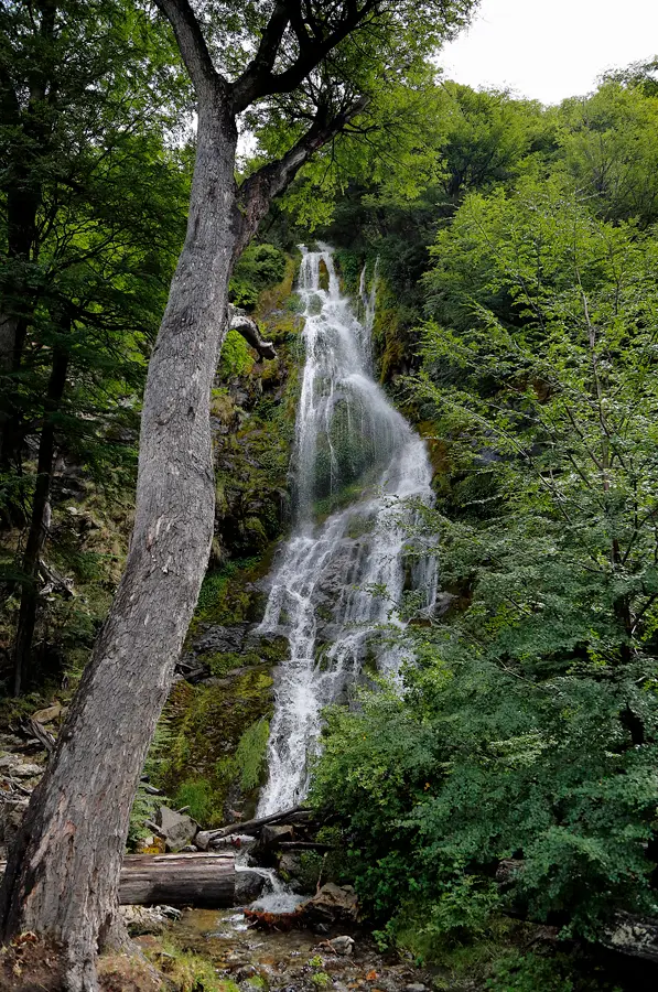 2_N6A2473.jpg