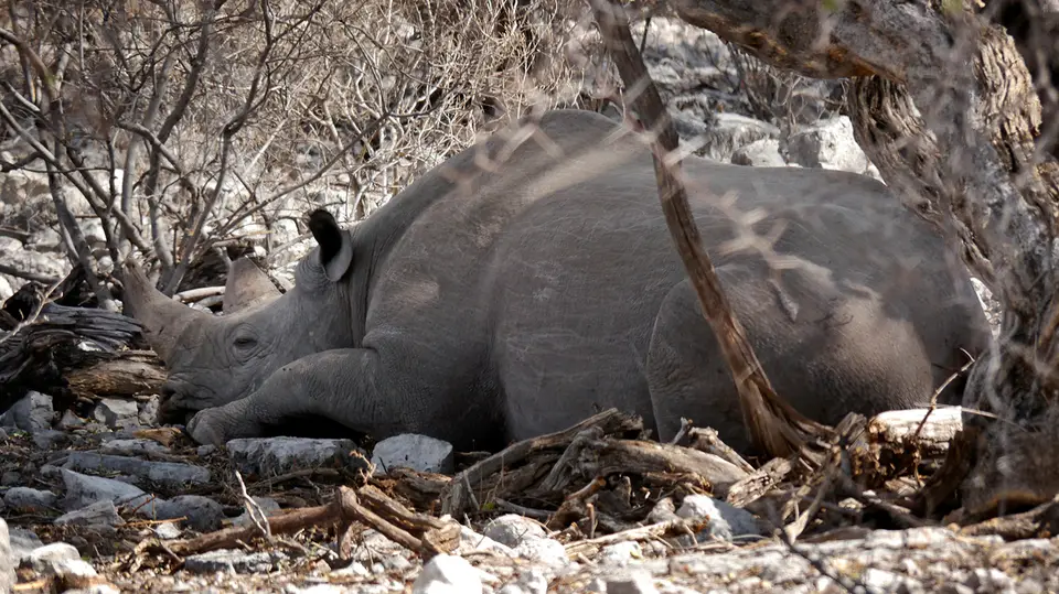 2_Namibia_10_20150203.jpg