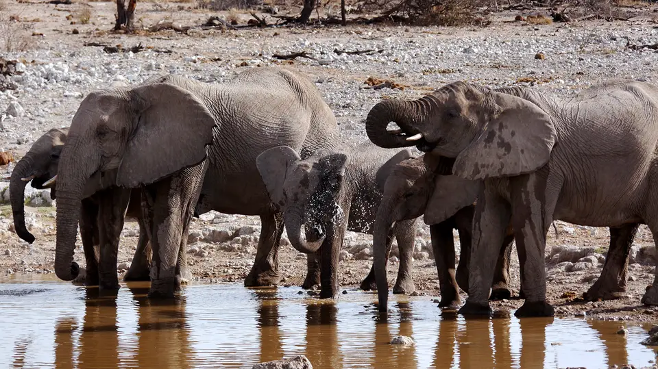 30_Namibia_10_20150217.jpg