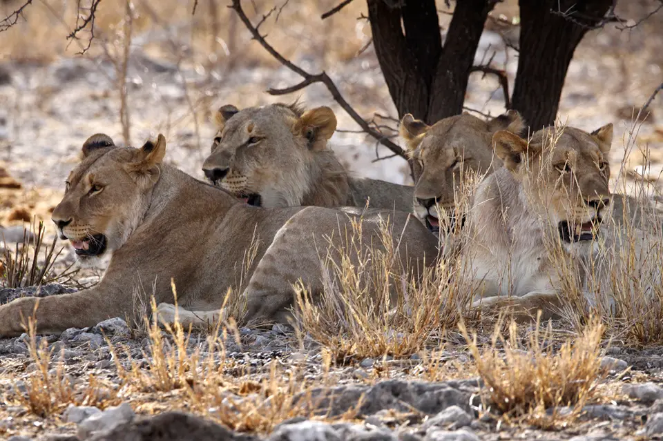 32_Namibia_10_20150405.jpg