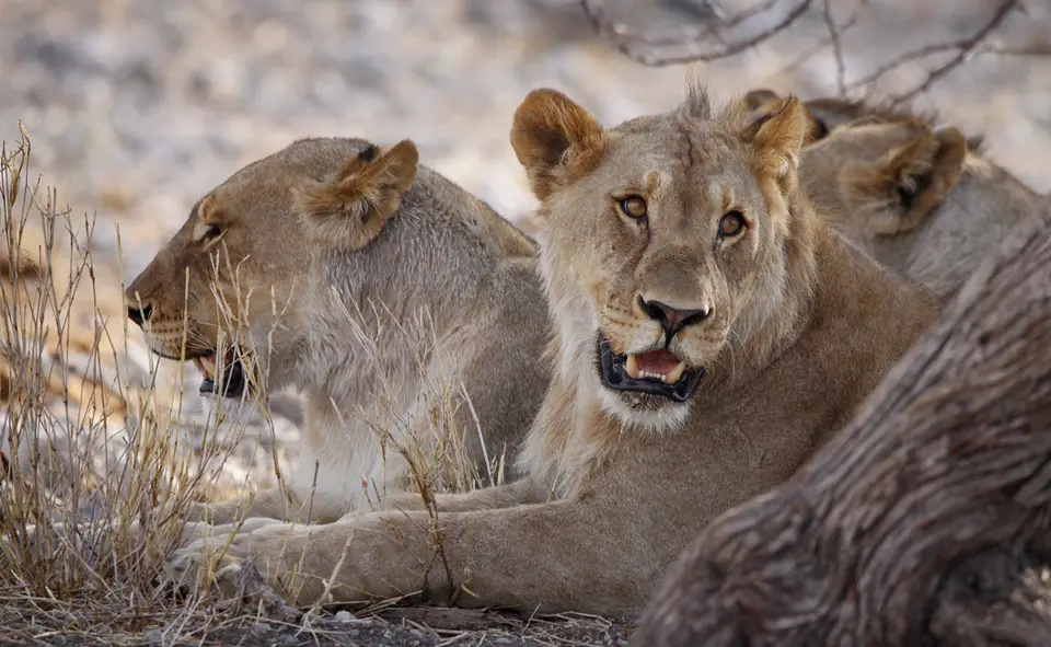 33_Namibia_10_20150407.jpg