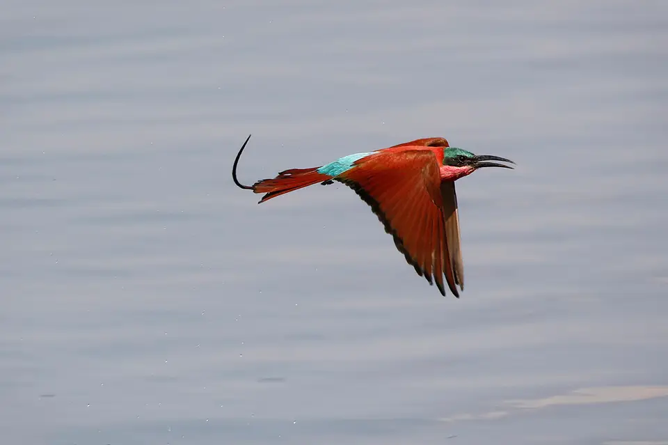 3_FR_6929.JPG