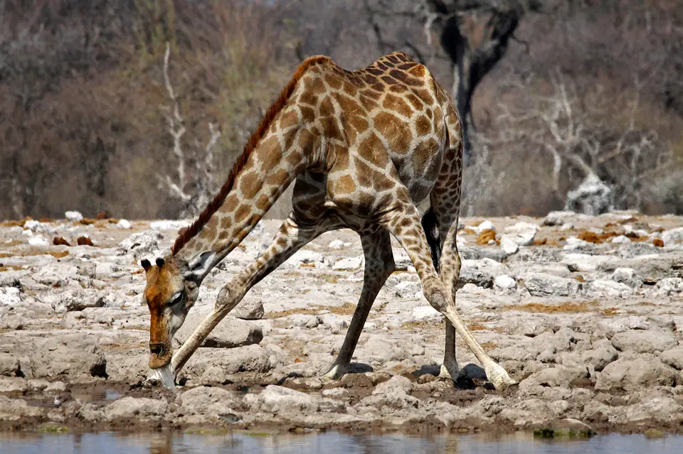 3_Namibia_10_20150826.jpg