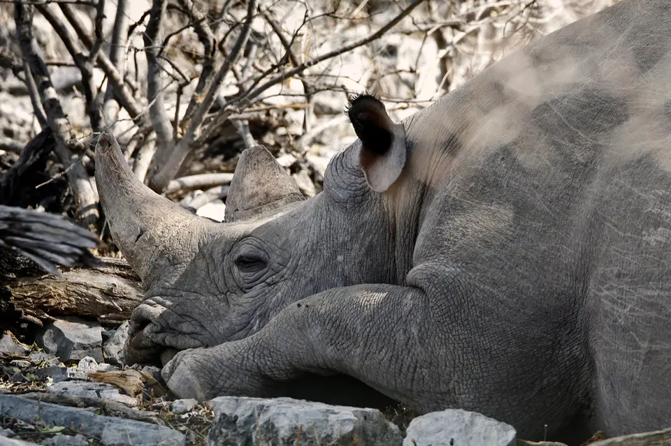 3_Namibia_10_20150829.jpg