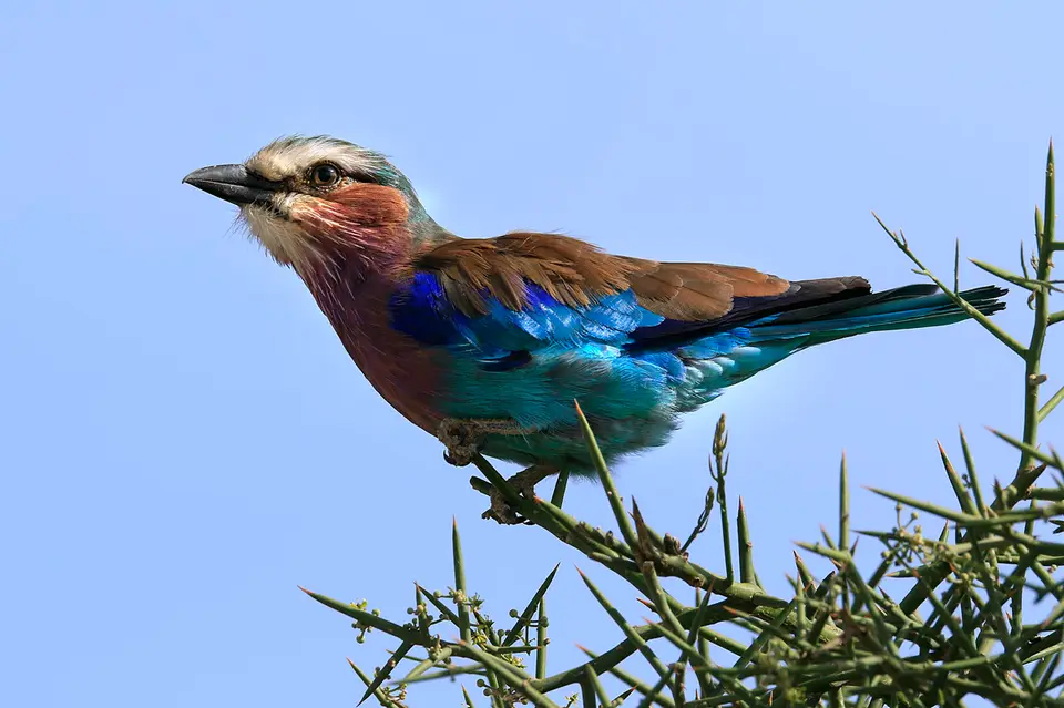 3a_EN_5940_7.jpg
