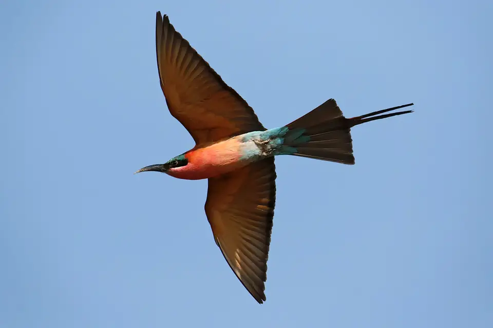 3a_FR_7136.JPG
