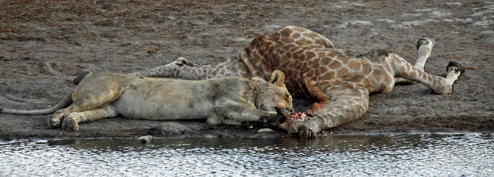 40_Namibia_10_20150419.jpg