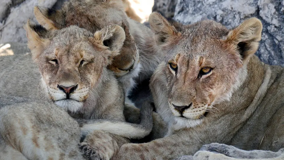 5_Namibia_10_20150237.jpg