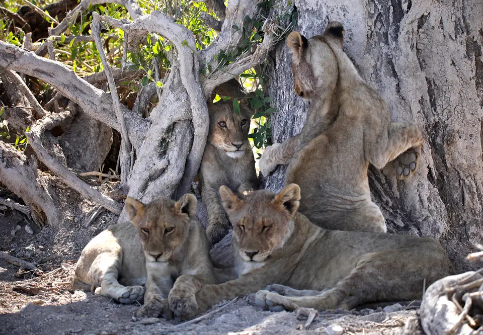 6_Namibia_10_20150574.jpg